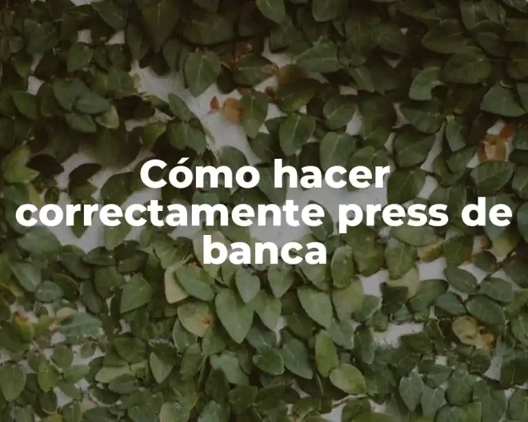 Cómo hacer correctamente press de banca