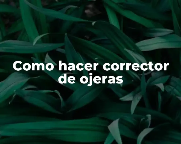 Como hacer corrector de ojeras