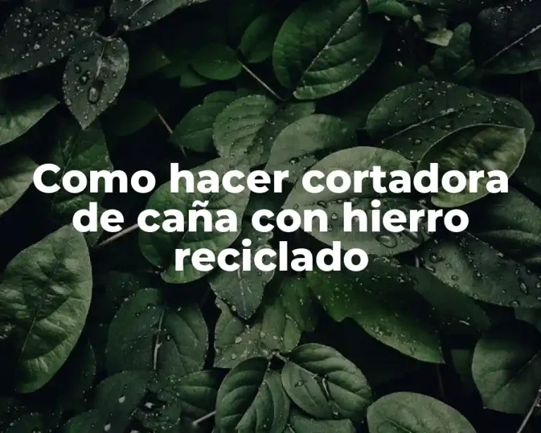 Como hacer cortadora de caña con hierro reciclado
