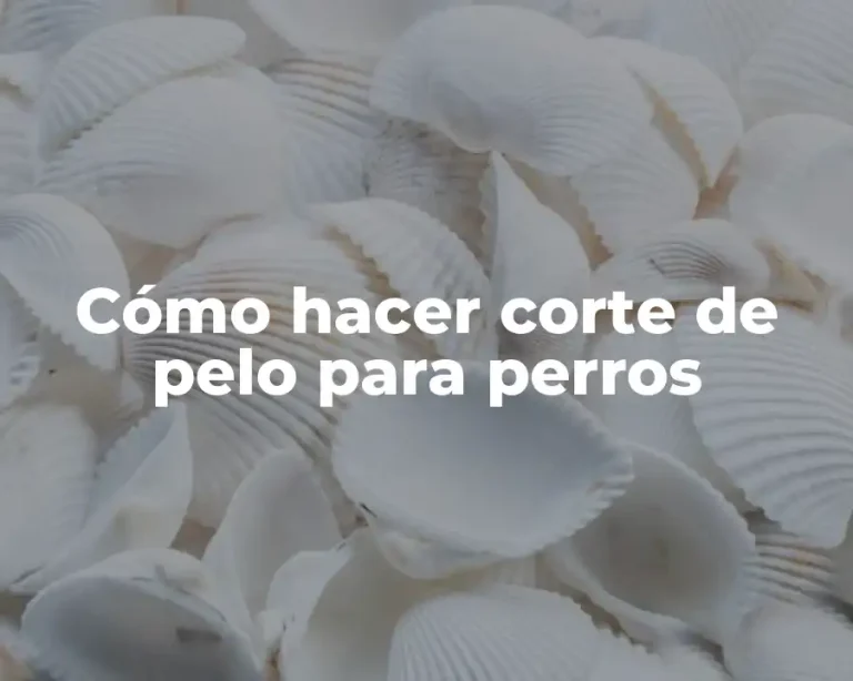 Cómo hacer corte de pelo para perros