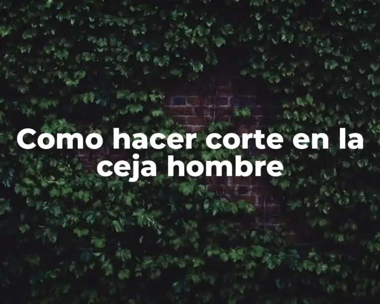 Como hacer corte en la ceja hombre