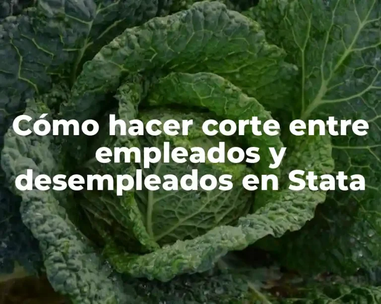 Cómo hacer corte entre empleados y desempleados en Stata