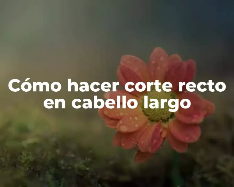 Cómo hacer corte recto en cabello largo