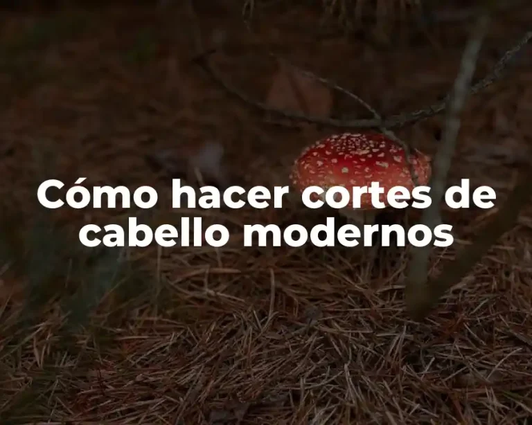 Cómo hacer cortes de cabello modernos