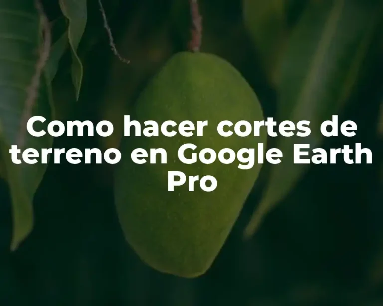 Como hacer cortes de terreno en Google Earth Pro
