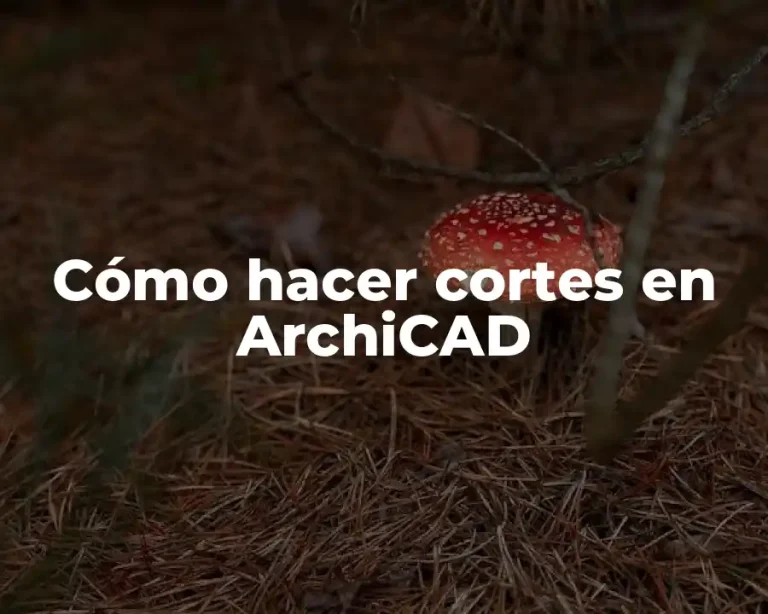Cómo hacer cortes en ArchiCAD
