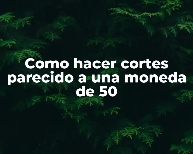 Como hacer cortes parecido a una moneda de 50