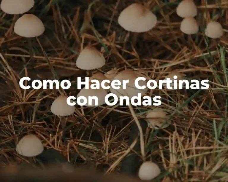 Como Hacer Cortinas con Ondas