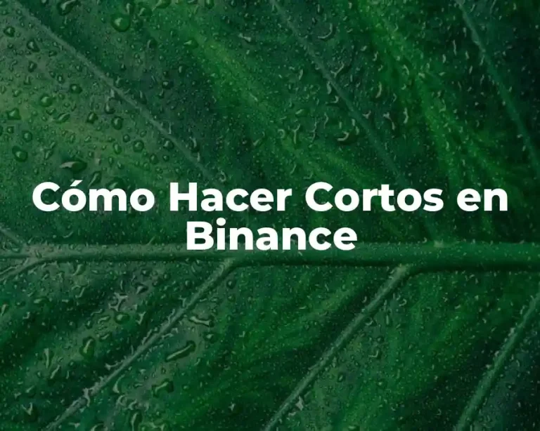 Cómo Hacer Cortos en Binance