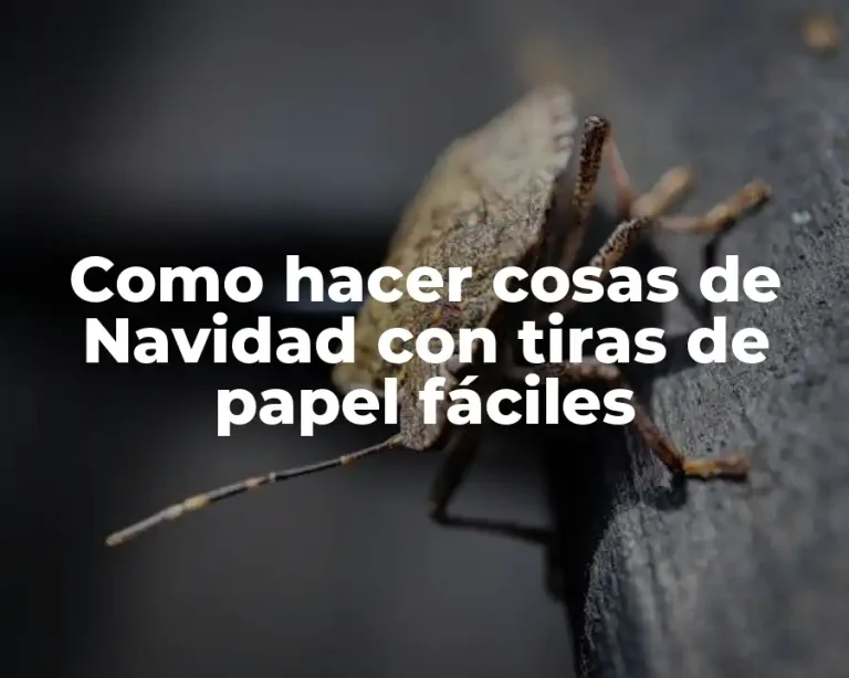 Como hacer cosas de Navidad con tiras de papel fáciles
