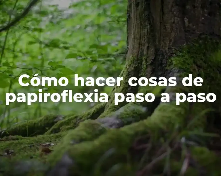 Cómo hacer cosas de papiroflexia paso a paso