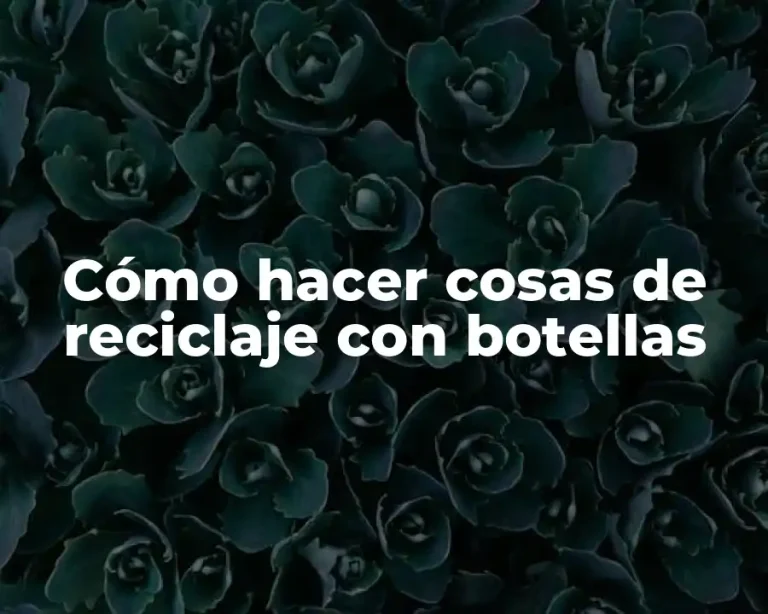 Cómo hacer cosas de reciclaje con botellas