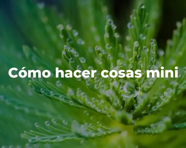 Cómo hacer cosas mini