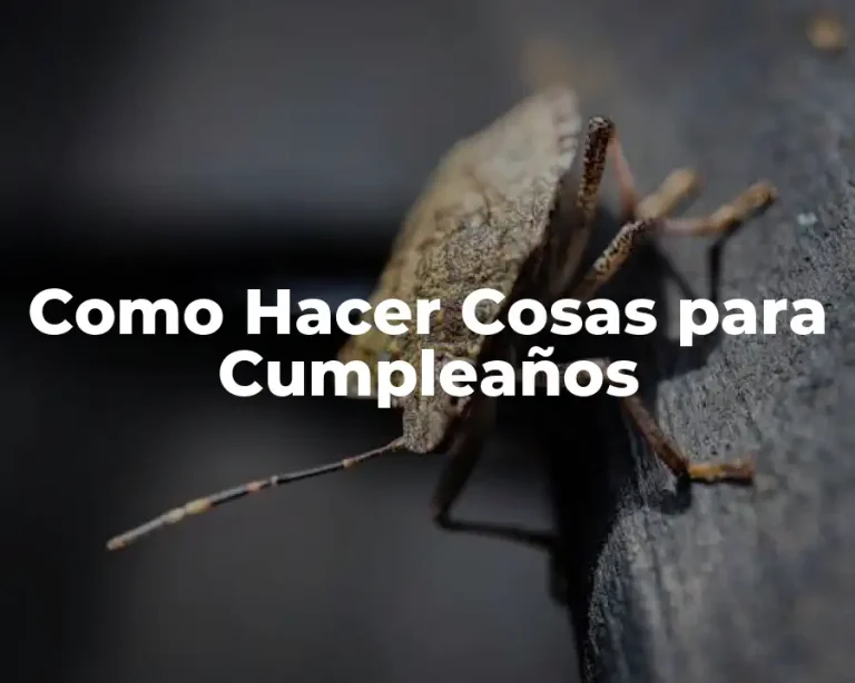 Como Hacer Cosas para Cumpleaños