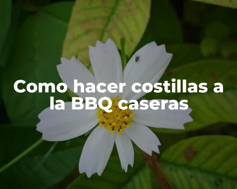 Como hacer costillas a la BBQ caseras