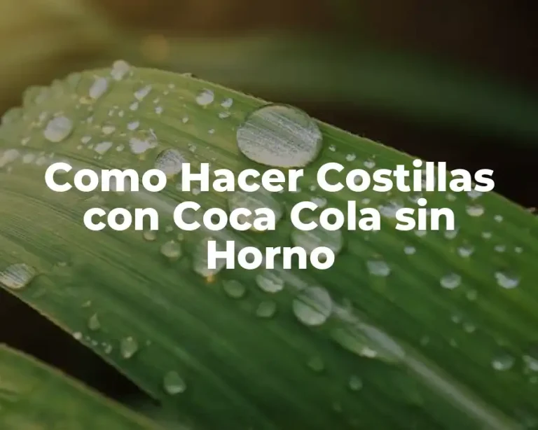 Como Hacer Costillas con Coca Cola sin Horno