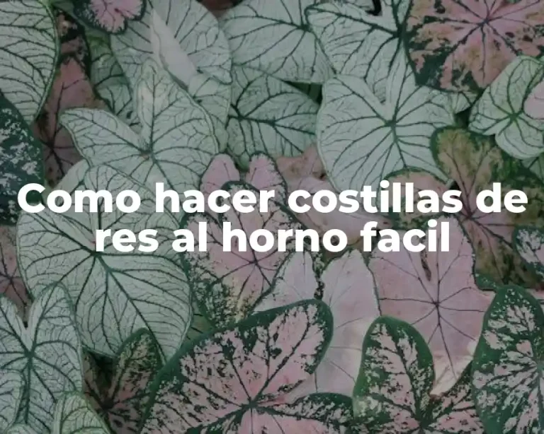 Como hacer costillas de res al horno facil