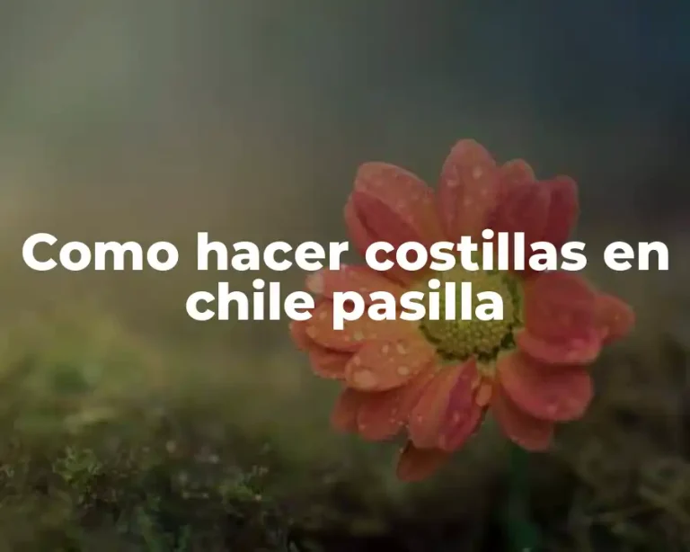 Como hacer costillas en chile pasilla