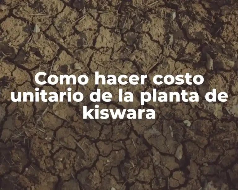 Como hacer costo unitario de la planta de kiswara