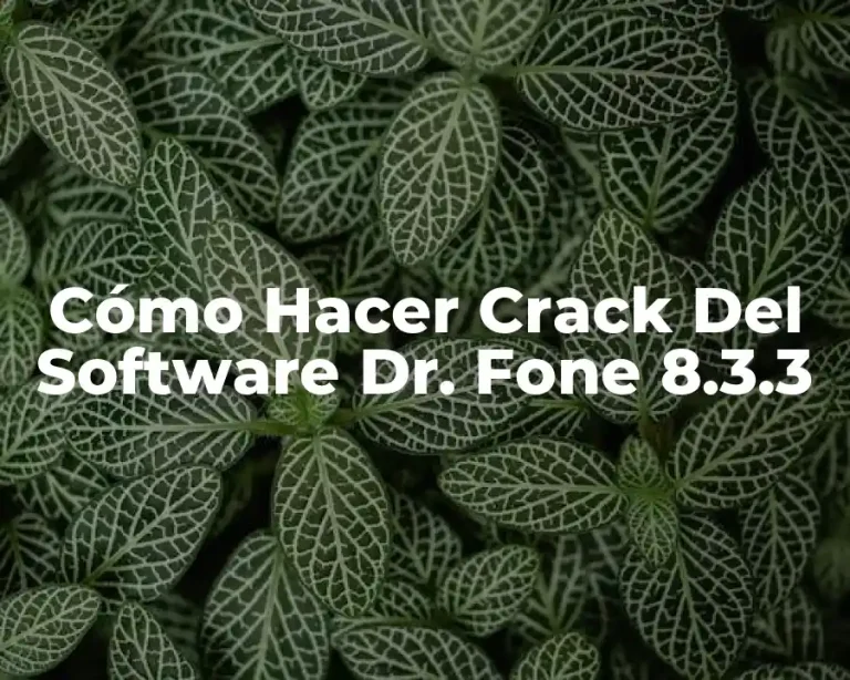 Cómo Hacer Crack Del Software Dr. Fone 8.3.3