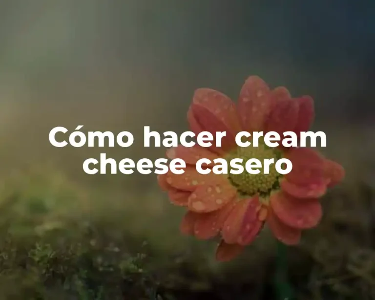 Cómo hacer cream cheese casero
