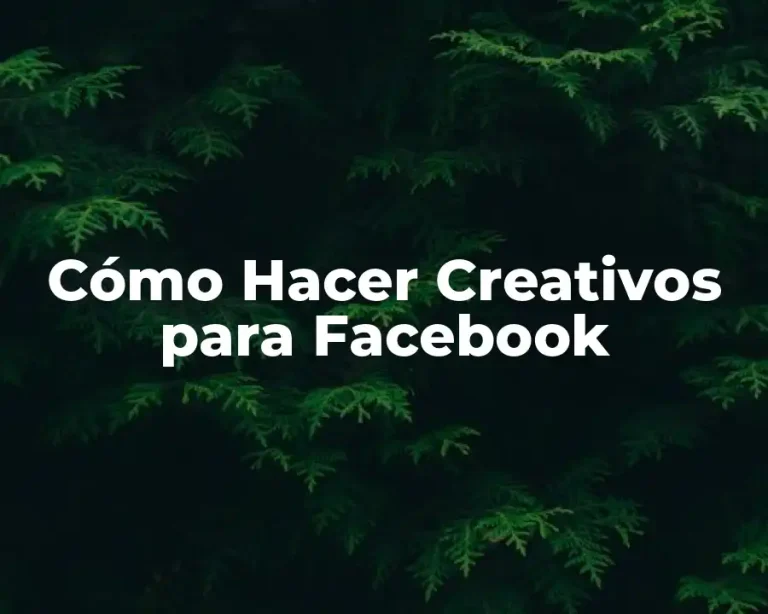 Cómo Hacer Creativos para Facebook