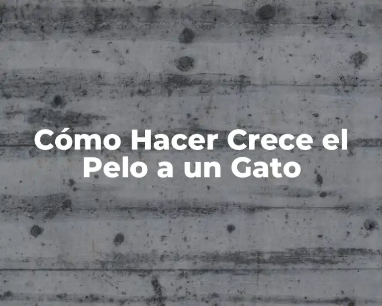 Cómo Hacer Crece el Pelo a un Gato