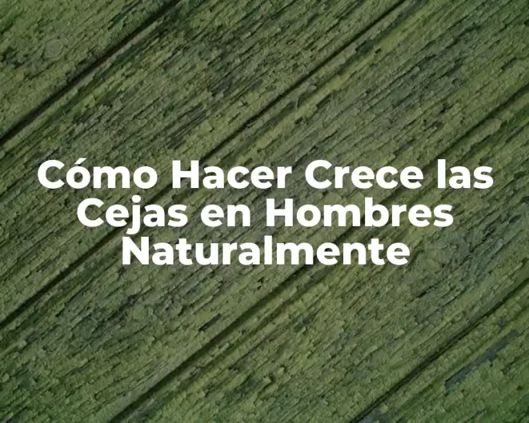 Cómo Hacer Crece las Cejas en Hombres Naturalmente