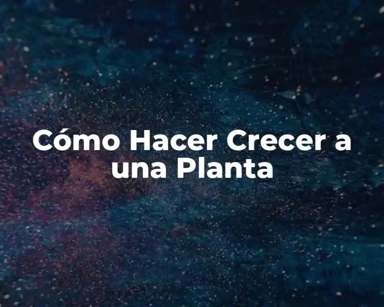 Cómo Hacer Crecer a una Planta