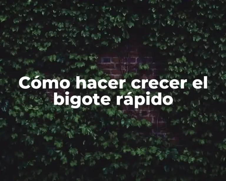 Cómo hacer crecer el bigote rápido