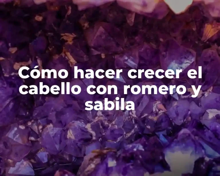 Cómo hacer crecer el cabello con romero y sabila