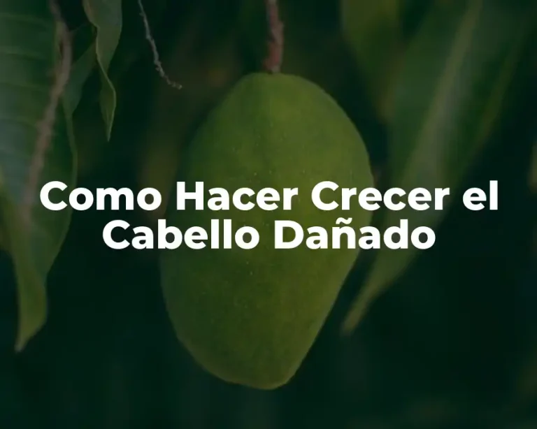 Como Hacer Crecer el Cabello Dañado