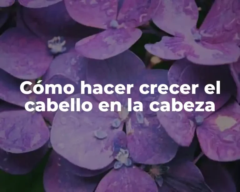 Cómo hacer crecer el cabello en la cabeza