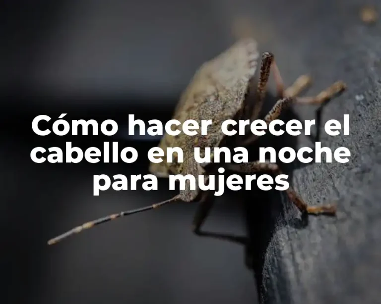 Cómo hacer crecer el cabello en una noche para mujeres