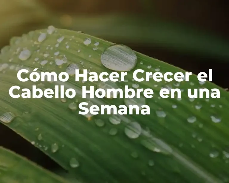 Cómo Hacer Crecer el Cabello Hombre en una Semana