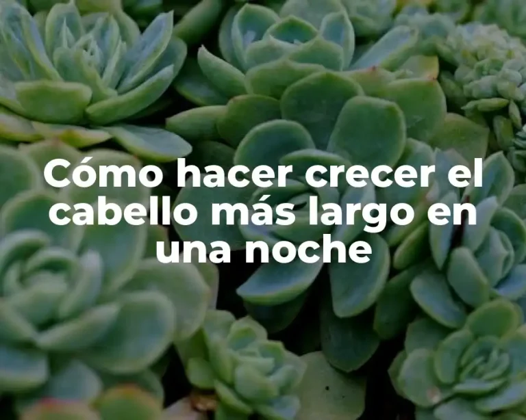 Cómo hacer crecer el cabello más largo en una noche