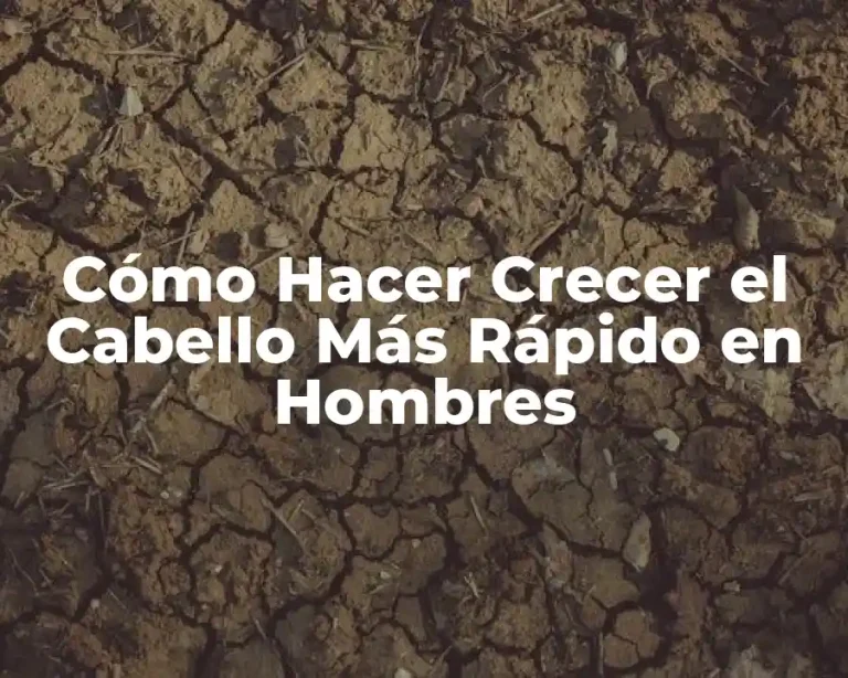 Cómo Hacer Crecer el Cabello Más Rápido en Hombres