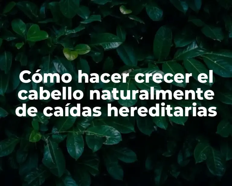 Cómo hacer crecer el cabello naturalmente de caídas hereditarias