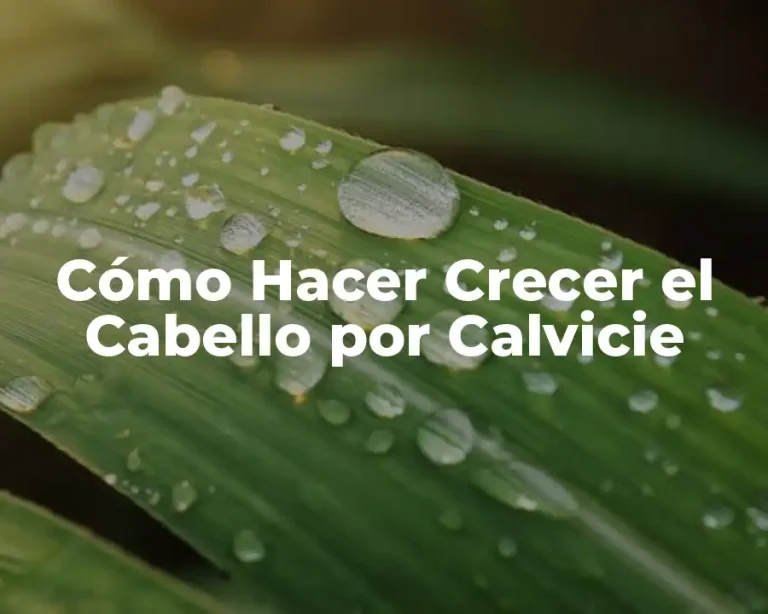 Cómo Hacer Crecer el Cabello por Calvicie