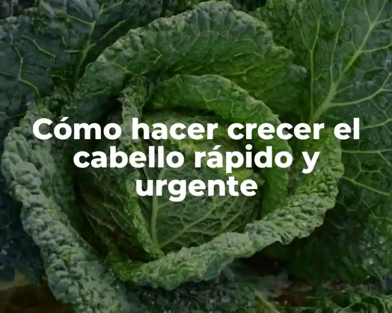Cómo hacer crecer el cabello rápido y urgente