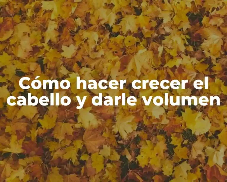 Cómo hacer crecer el cabello y darle volumen