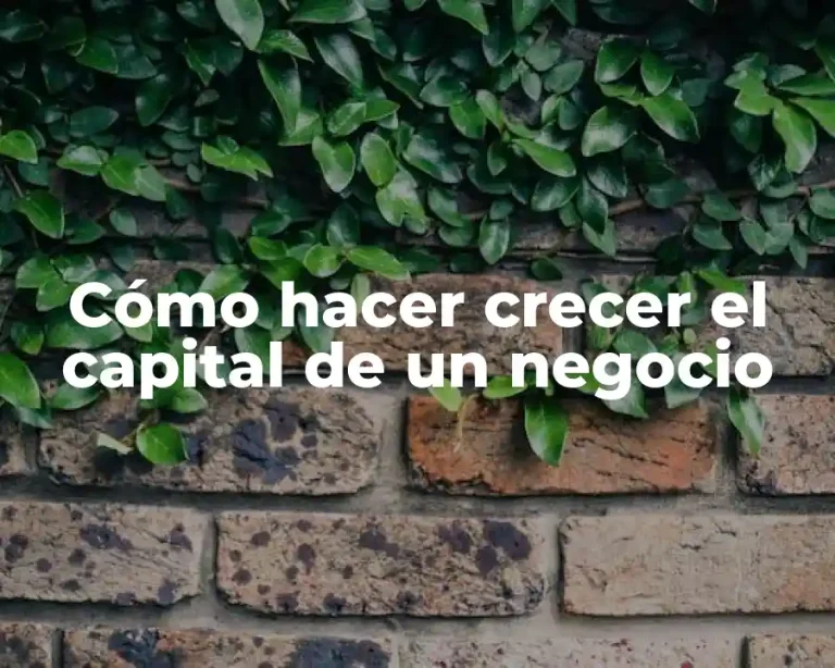 Cómo hacer crecer el capital de un negocio