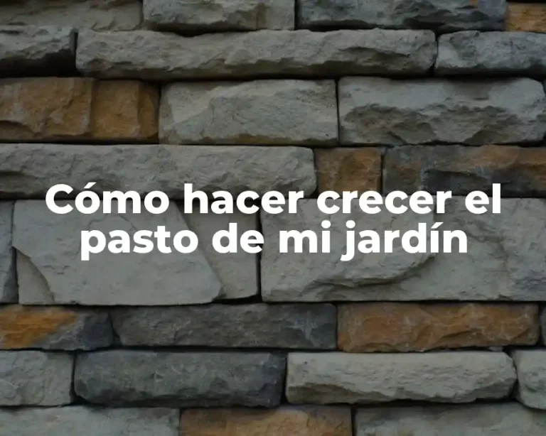 Cómo hacer crecer el pasto de mi jardín