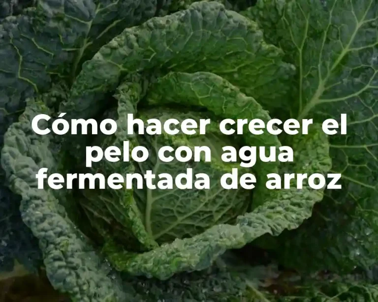Cómo hacer crecer el pelo con agua fermentada de arroz