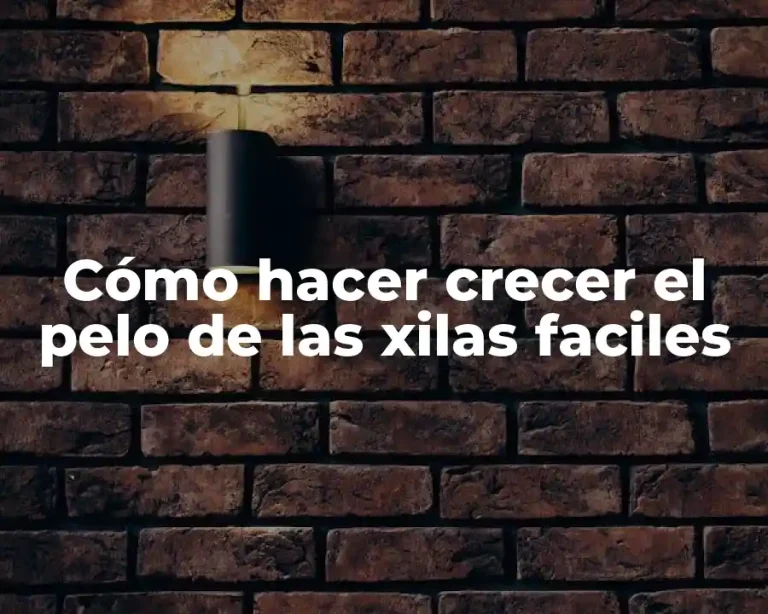Cómo hacer crecer el pelo de las xilas faciles