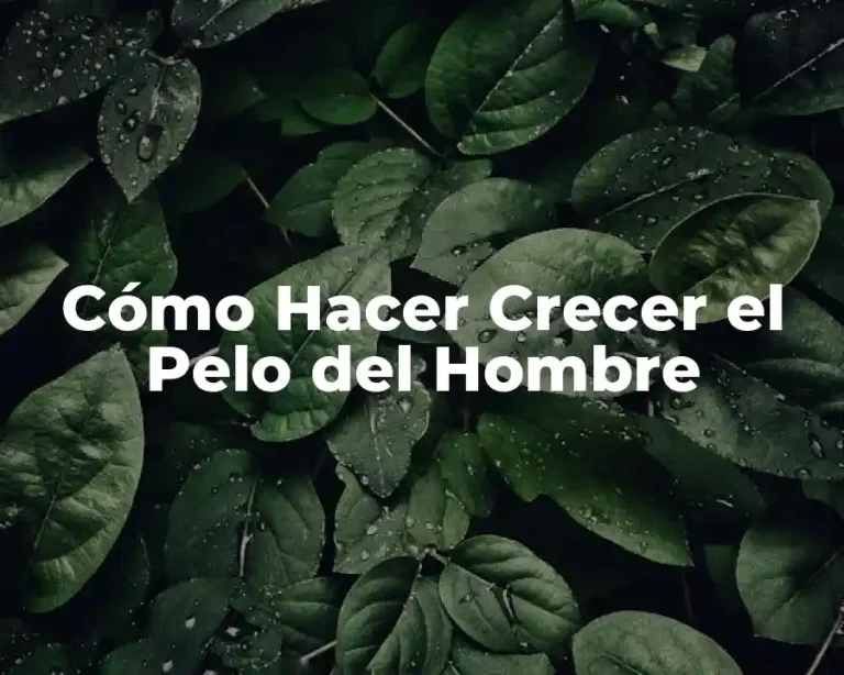 Cómo Hacer Crecer el Pelo del Hombre