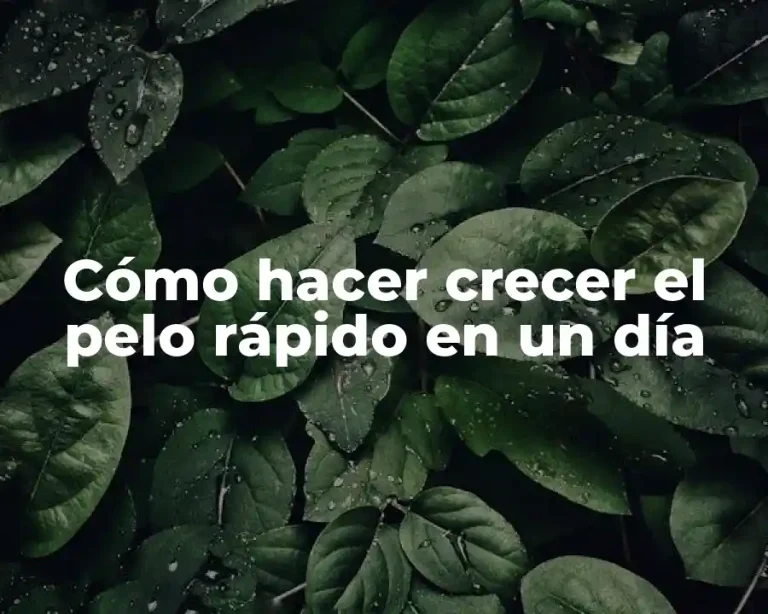 Cómo hacer crecer el pelo rápido en un día
