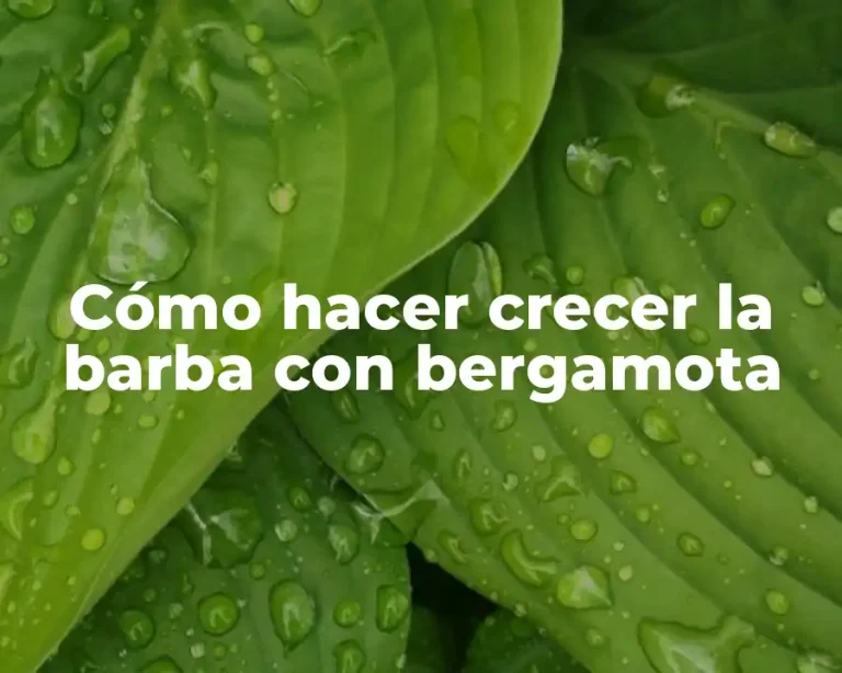 Cómo hacer crecer la barba con bergamota