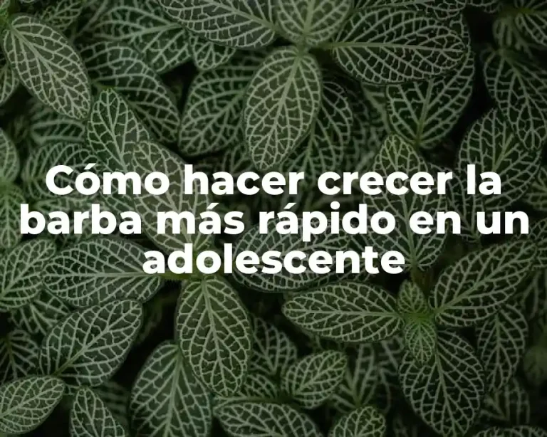 Cómo hacer crecer la barba más rápido en un adolescente