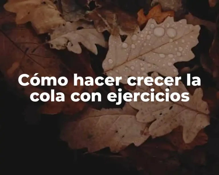 Cómo hacer crecer la cola con ejercicios